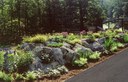 Boulder Planter